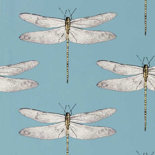 Demoiselle 113144